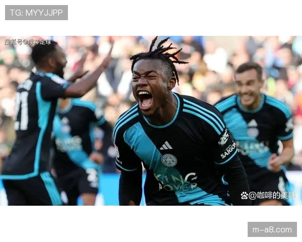 莱斯特城财务违规被扣6分,英超保级队警钟长鸣